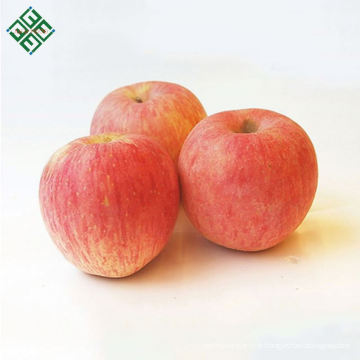 Chine bonne qualité pomme fraîche (gala) custard apple